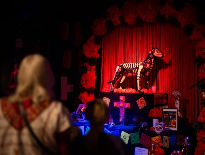 ofrenda på höstlovet 2025 
