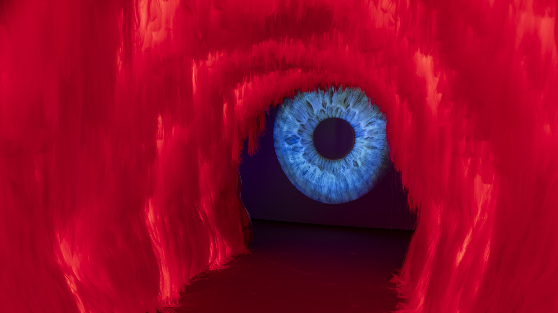 tunnel in till existens utställningen