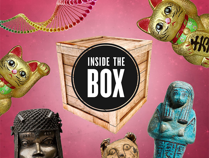 Omslagsbild för podcasten Inside the box
